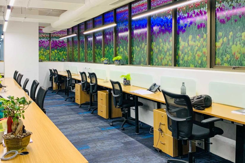 iKeva Vaishnavi's Cynosure